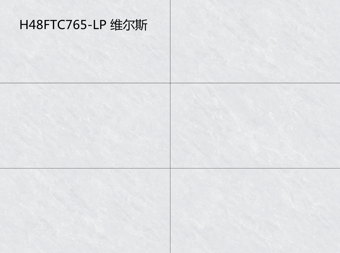H48FTC765-LP 維爾斯
