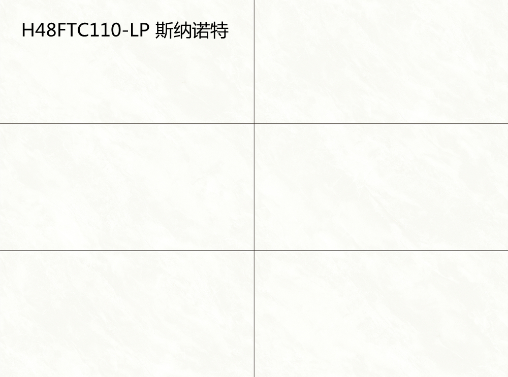 H48FTC110-LP 斯納諾特