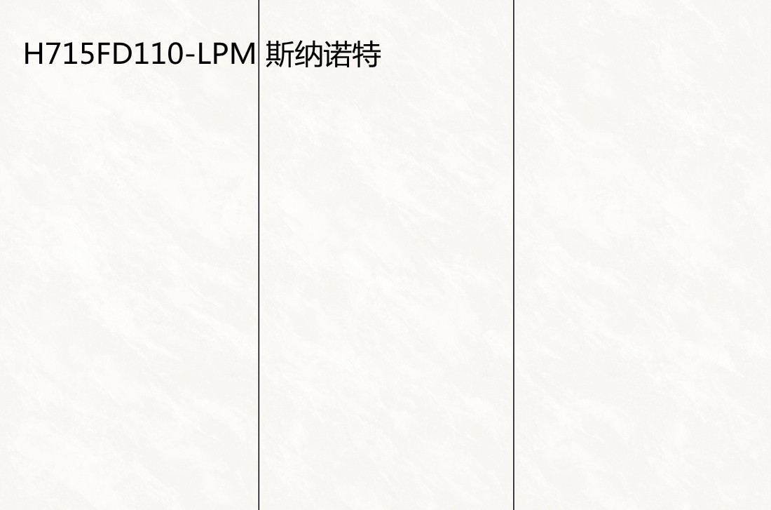 H715FD110-LPM 斯納諾特